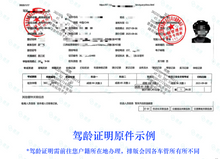 将图片加载到图库查看器,加拿大安省ATIO认证驾照+驾临认证翻译 + 邮寄