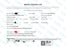 将图片加载到图库查看器,澳洲 NAATI 中国出生证明翻译