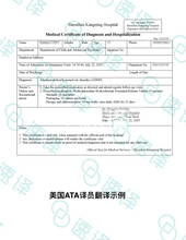 将图片加载到图库查看器,美国 ATA 认证翻译服务
