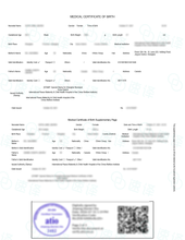 将图片加载到图库查看器，加拿大安省 ATIO 中国出生证明翻译
