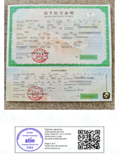 将图片加载到图库查看器，加拿大安省 ATIO 中国出生证明翻译
